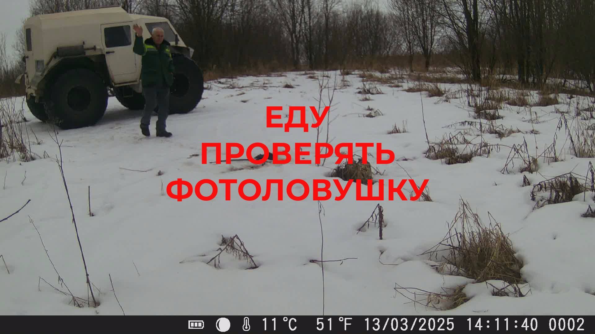Еду проверять Фотоловушку