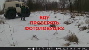 Еду проверять Фотоловушку