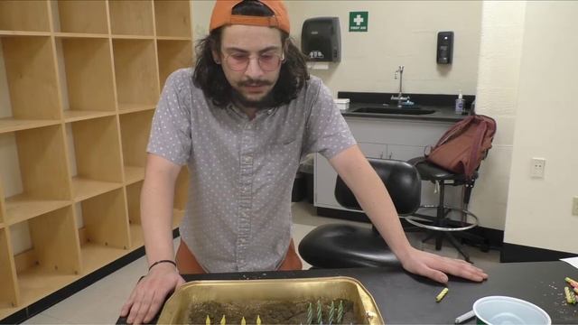 Candle Procedure Walkthrough смотреть онлайн