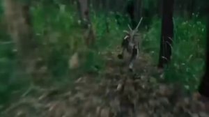 Türkçe Dublaj Yabancı Aksiyon Filmi 2021🔥🔥