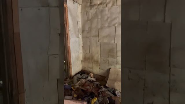 Старый дом на родине писателя...