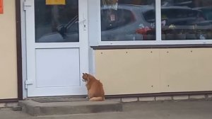 Директор пришел пораньше