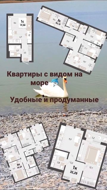 Хотите жить на побережье Чёрного моря??   ☎️8-952-867-08-14 #переездкморю #квартирауморя