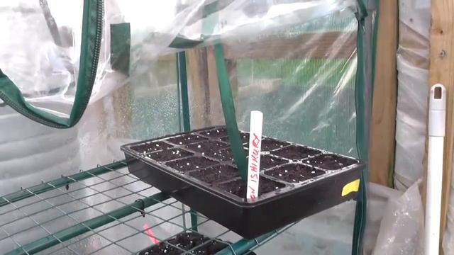 RHUBARB HARVEST | 0018-2017 смотреть онлайн