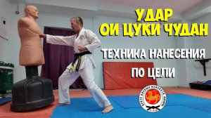 Особенности выполнения удара ои цуки чудан в контакте