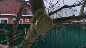 Обработка срезов