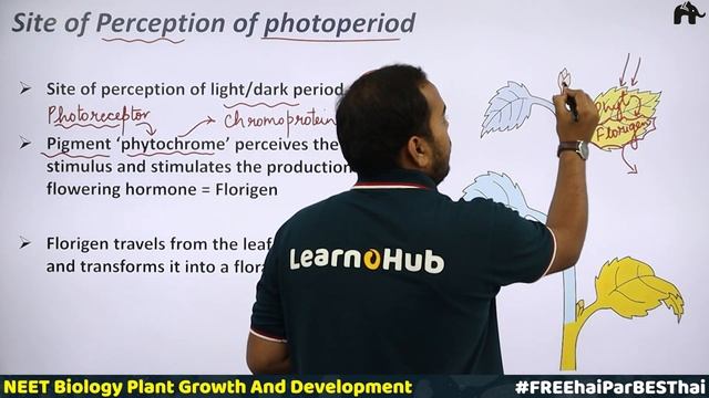 Plant Growth And Development NEET Concept Add On- Photoperiodism, Vernalisation, Seed Dormancy| Bio смотреть онлайн