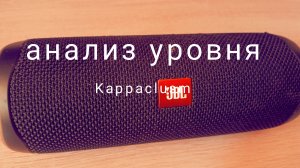 Анализ уровня Kappaclism