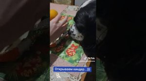 Большой Kinder Surpise. Что внутри?  ...)))