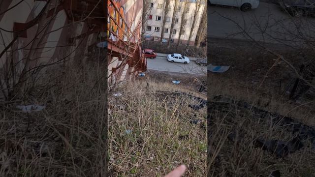 исследовали вовкин двор