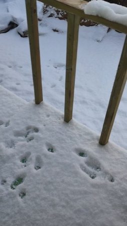 18е марта - весна)))