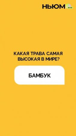 Готовы к мозговому штурму? На сколько вопросов ответили правильно?