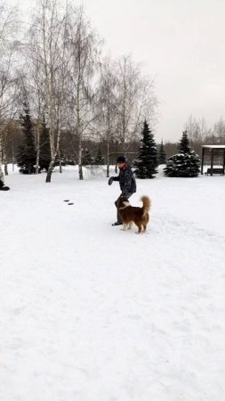АО Байрон - тренировочное, барьер, вольт