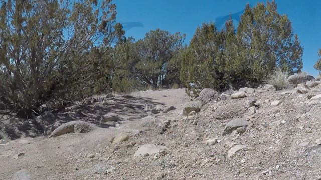 Adventure Cyclist Road Test: Salsa Journeyman Claris 650 смотреть онлайн