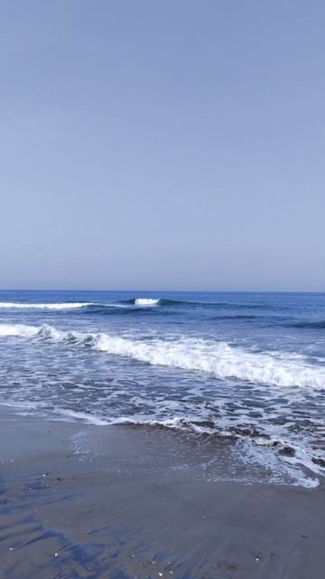 a huge whale in the ocean смотреть онлайн