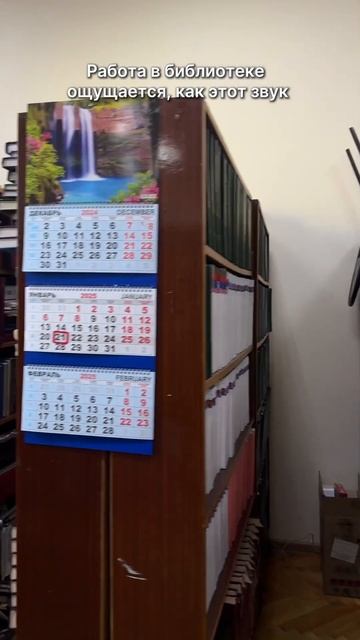 Работаю в библиотеке и рассказываю об этом #будни #жизнь #работа #grwm смотреть онлайн