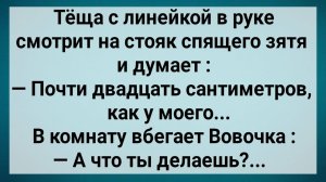Как Теща Зятю Хозяйство Измеряла! Сборник Свежих Анекдотов! Юмор!