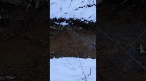 Группа Дятлова. О телах найденных в ручье