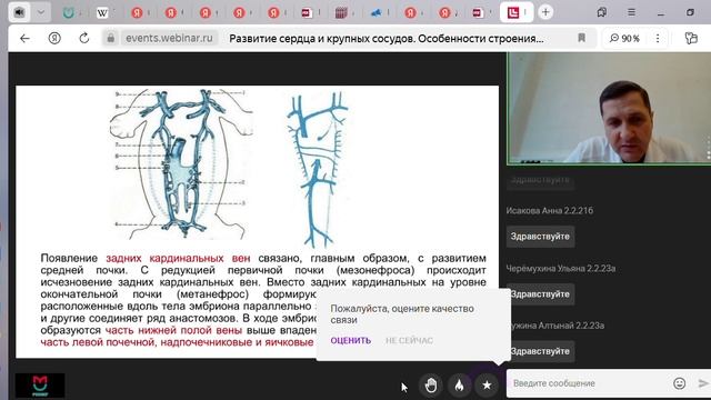 Развитие сердца и крупных сосудов. Особенности строения сердечно-сосудистой системы у детей.
