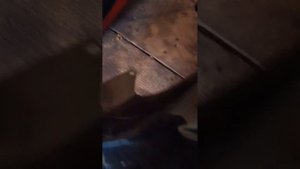 обзор оригинального пластика Honda CBR 600F4I