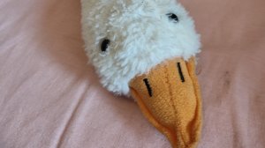 Обзор персонажей из Anonimus studio goose