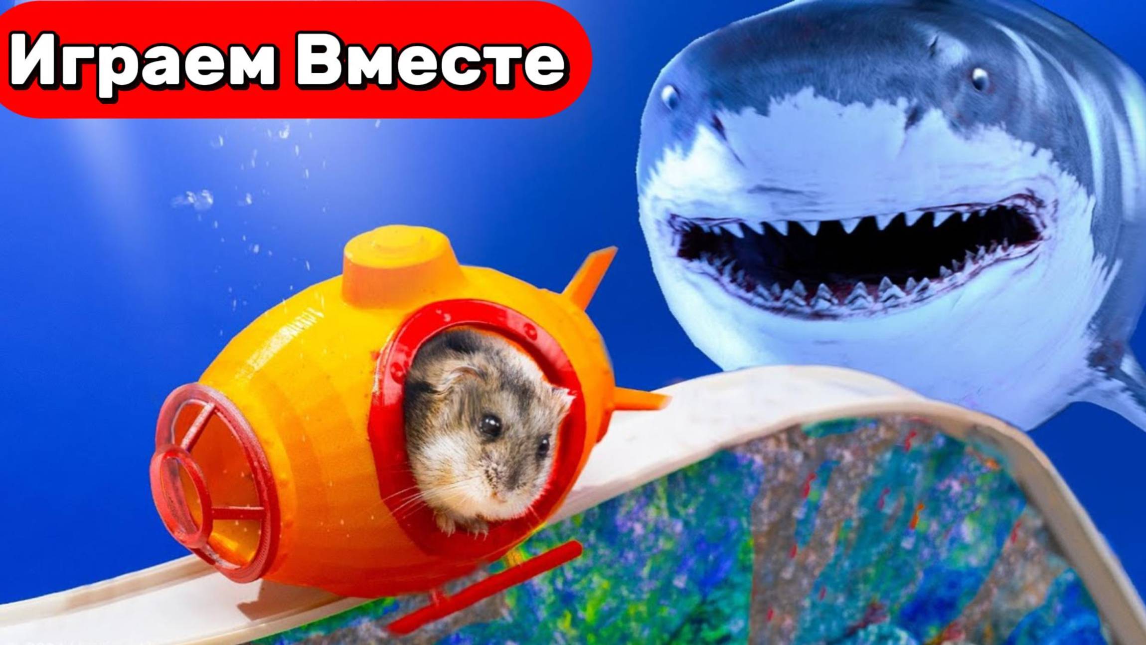Лабиринт для ХОМЯКА ! Умный Хомяк выбирается из ПОДВОДНОГО ЛАБИРИНТА С АКУЛАМИ !