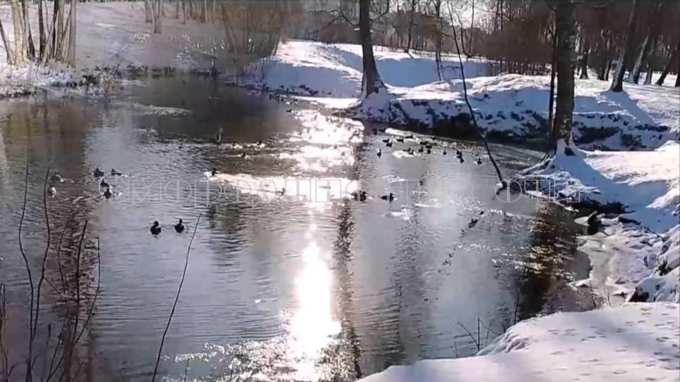 Весна - природы дивной ликование! Видеозарисовка. смотреть онлайн