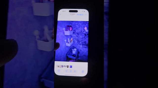 Камера Айфон 16 Pro vs Samsung S25 Ultra