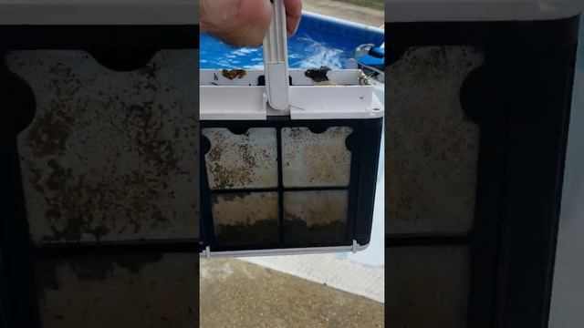 Dolphin Cayman robot pool cleaner смотреть онлайн