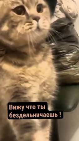 Отправляем всем кто делает вид что работает .