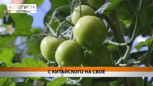 Новости Камчатки за 19 марта 2025 года