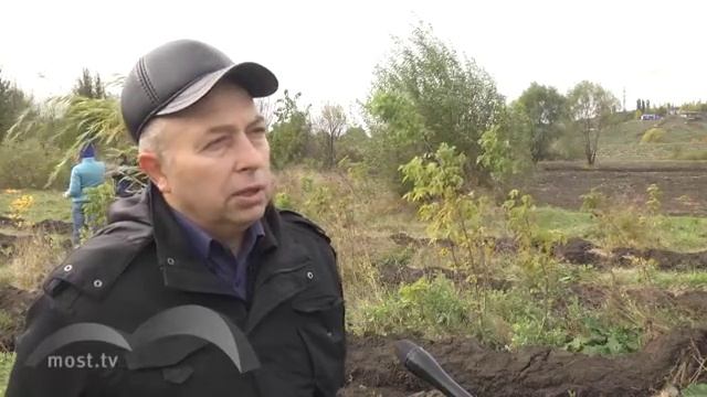 Тысяча новых деревьев и кустарников выросли за один день в Липецке