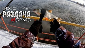 Мормо по-быстрому. Мормышинг Ультралайт Наноджиг