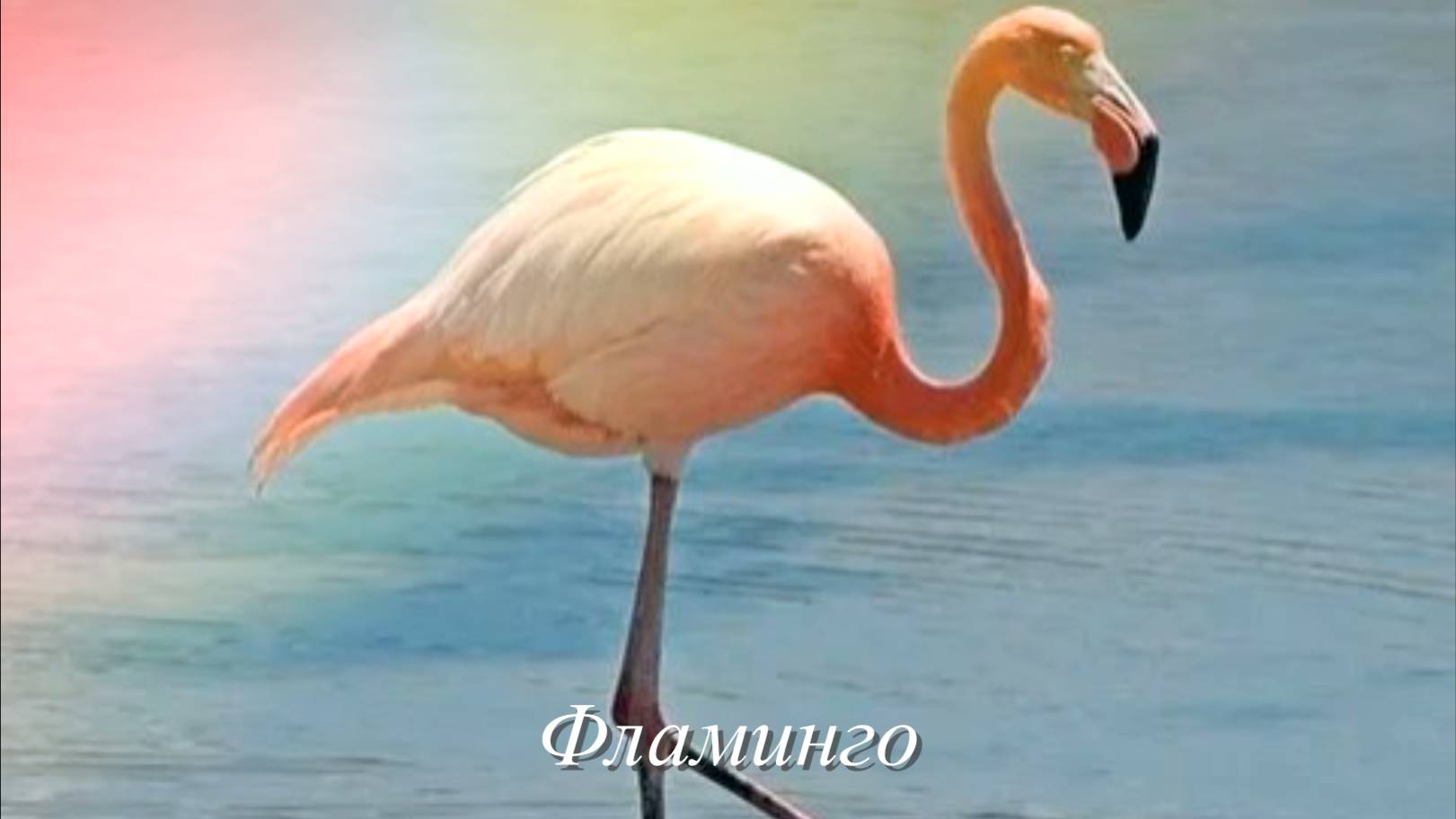 Звук