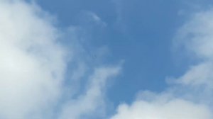 Нас мало но мы в тельняшках...