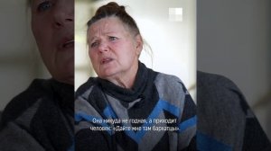 «Эта культура как феникс»: когда пикировать бархатцы, чтобы они быстрее зацвели | NGS.RU