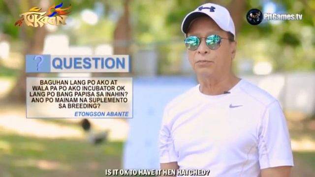 BIBOY ENRIQUEZ What is the Best Way to Breed 3 /4. 1/4 BloodLine смотреть онлайн