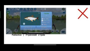 Что лучше ОС на СКРЕТЧ? Или на ПОКЕТ КОД?