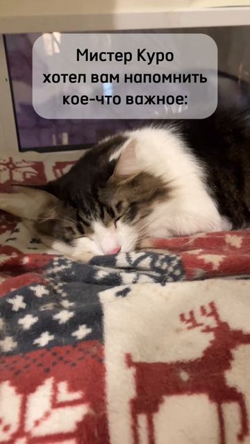Мистер Куро хотел вам кое-что напомнить