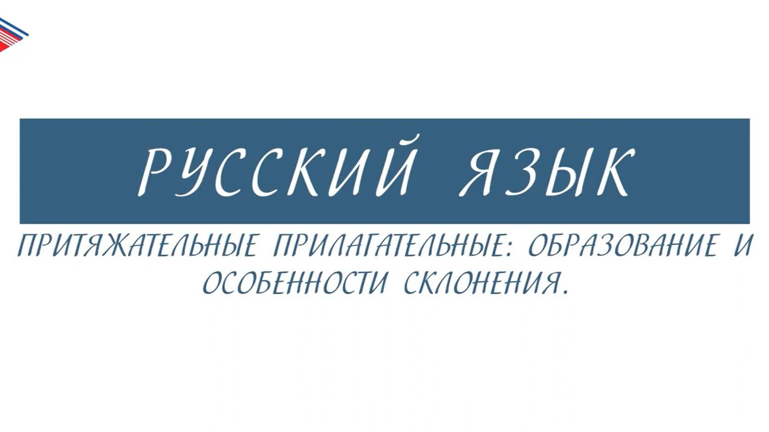 6 класс - Русский язык - Притяжательные прилагательные образование и особенности склонения