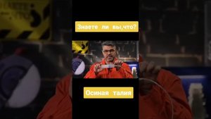 Осиная талия