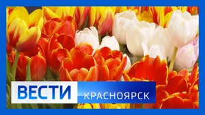 Вести. Красноярск от 06.03.2025