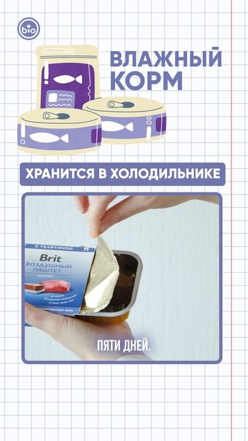 Как нельзя кормить корм для собак и кошек?  🙀🐶