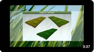Стандартный рулонный газон