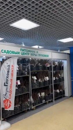 Мимо, ну никак не пройти!😎