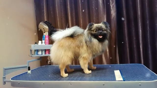 Микки смотреть онлайн