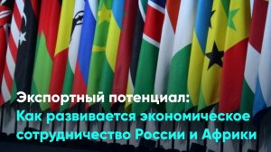 Экспортный потенциал: Как развивается экономическое сотрудничество России и Африки