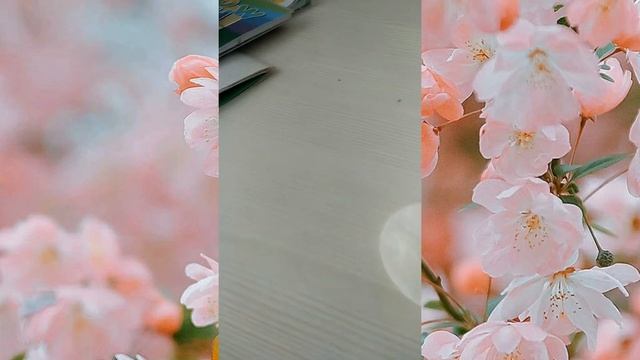 как вырастить перец в домашних условиях смотреть онлайн