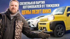 Цены на авто ползут вниз. Свеженькая партия автомобилей от Токидоки