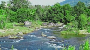 Музыкальная терапия - Успокаивающие мелодии для успокоения ума и медитации